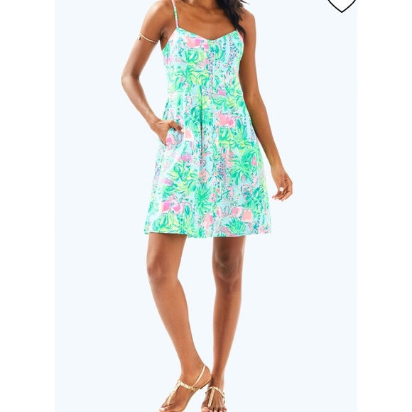Lilly Pulitzer Dresses & Skirts - EUC Lilly Pulitzer “Easton” Dress 👗🦩🐘